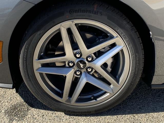 2025 Ford Mustang EcoBoost Fastback