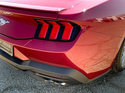 2025 Ford Mustang EcoBoost Premium Fastback