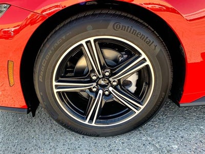 2025 Ford Mustang EcoBoost Fastback