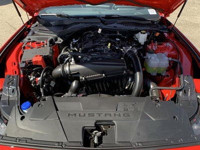 2025 Ford Mustang EcoBoost Fastback