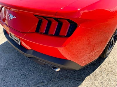 2025 Ford Mustang EcoBoost Fastback