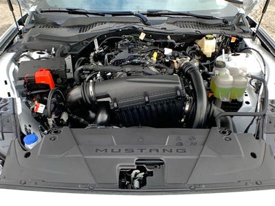 2025 Ford Mustang EcoBoost Fastback