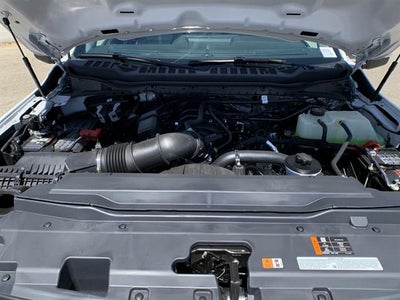 2025 Ford Super Duty F-350 SRW XL 2WD Reg Cab 145" WB 60" CA