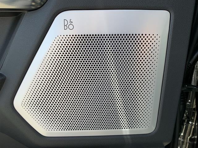 2025 Ford Super Duty F-250 SRW Platinum 4WD Crew Cab 6.75' Box