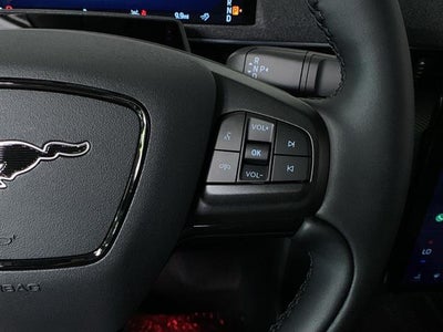 2025 Ford Mustang Mach-E Premium RWD