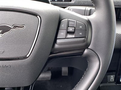 2025 Ford Mustang Mach-E Premium RWD